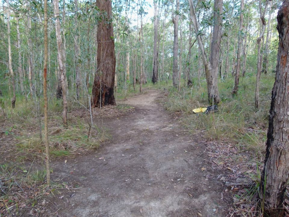P1140146.jpg