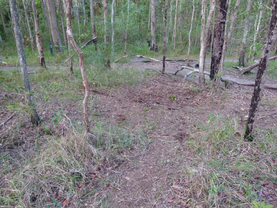 P1140149.jpg