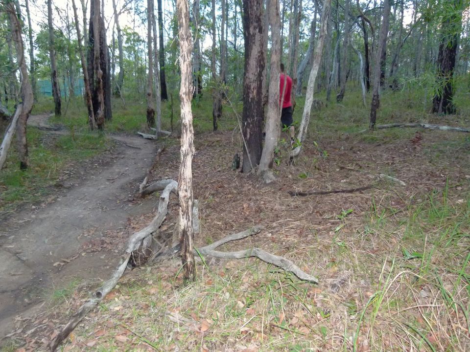 P1140162.jpg