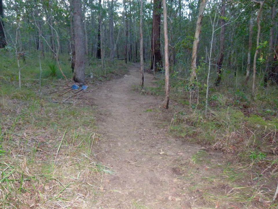 P1140164.jpg