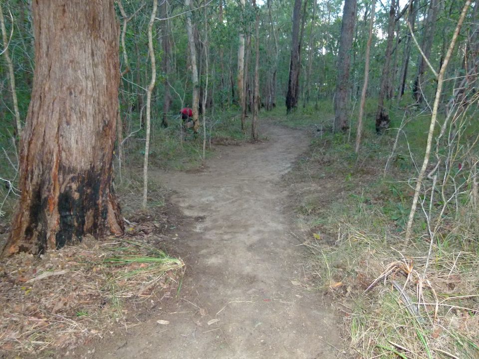 P1140165.jpg