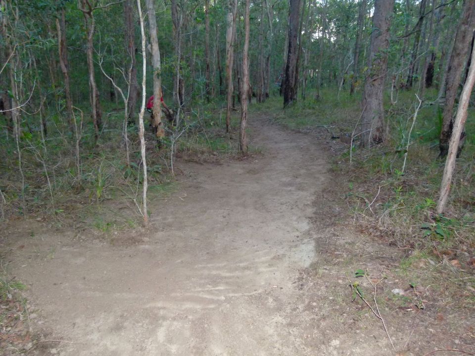 P1140166.jpg