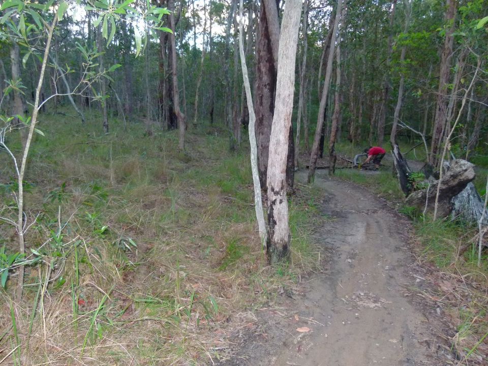 P1140169.jpg