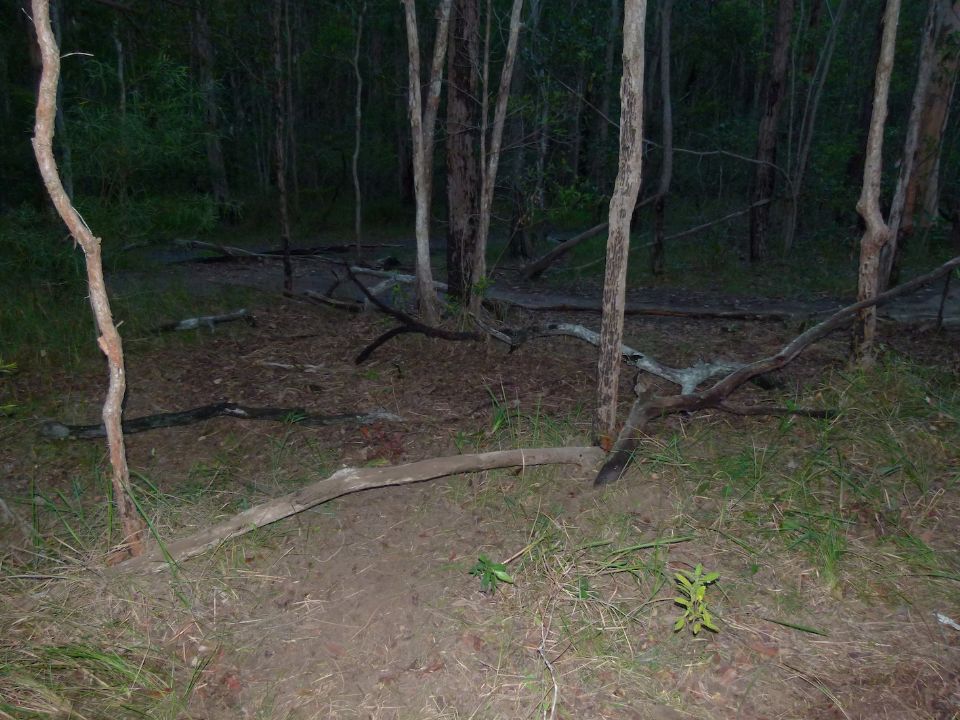 P1140176.jpg
