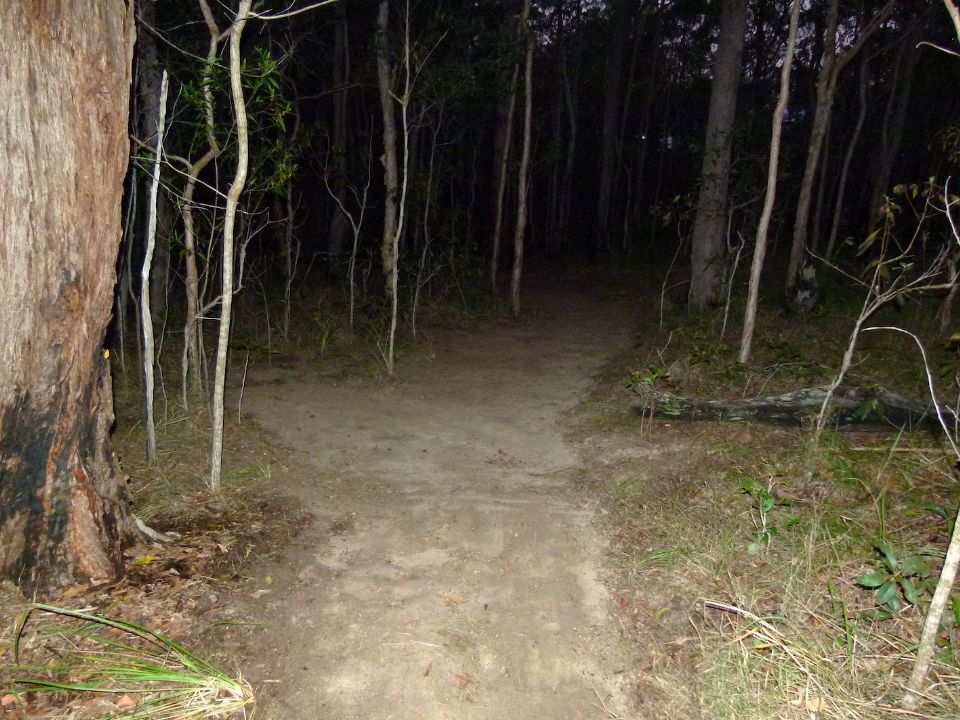 P1140181.jpg