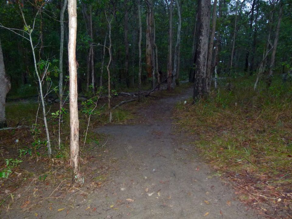 P1140185.jpg