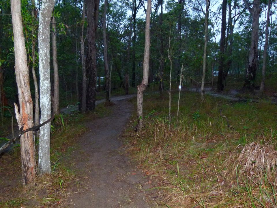P1140191.jpg