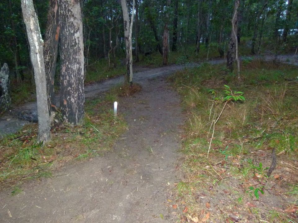 P1140192.jpg