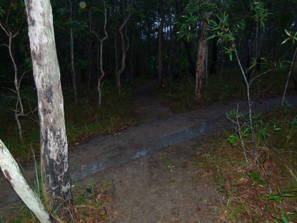 P1140193.jpg