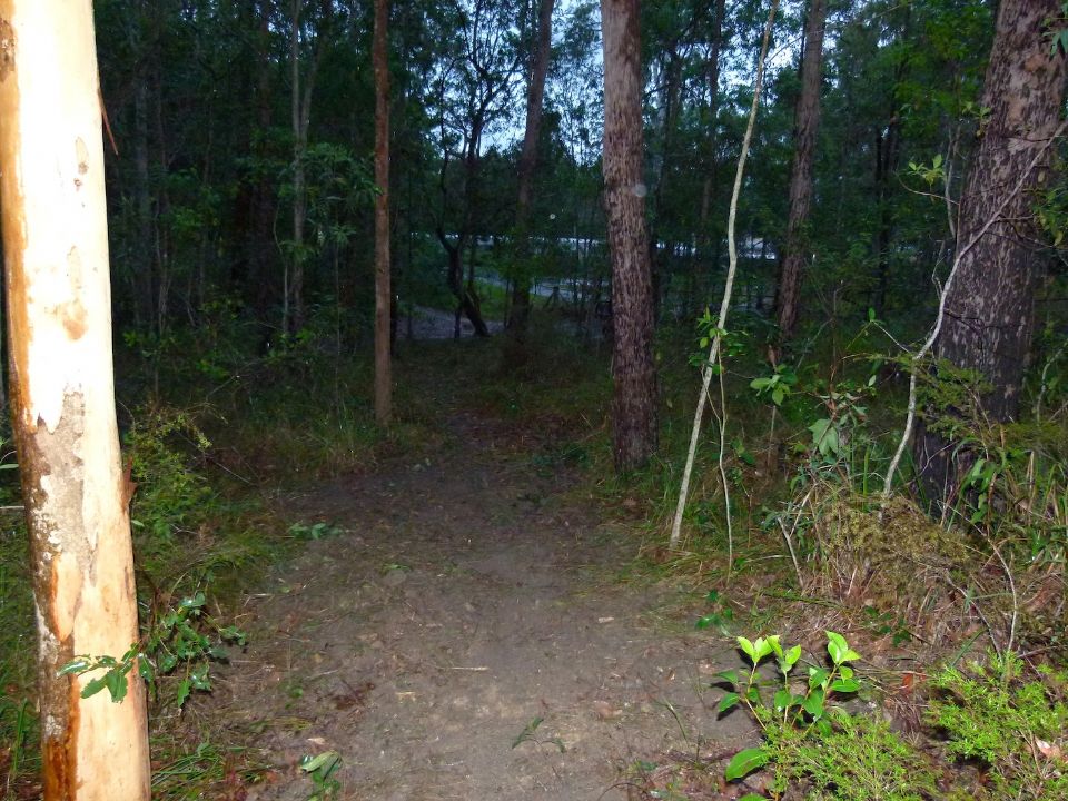 P1140203.jpg