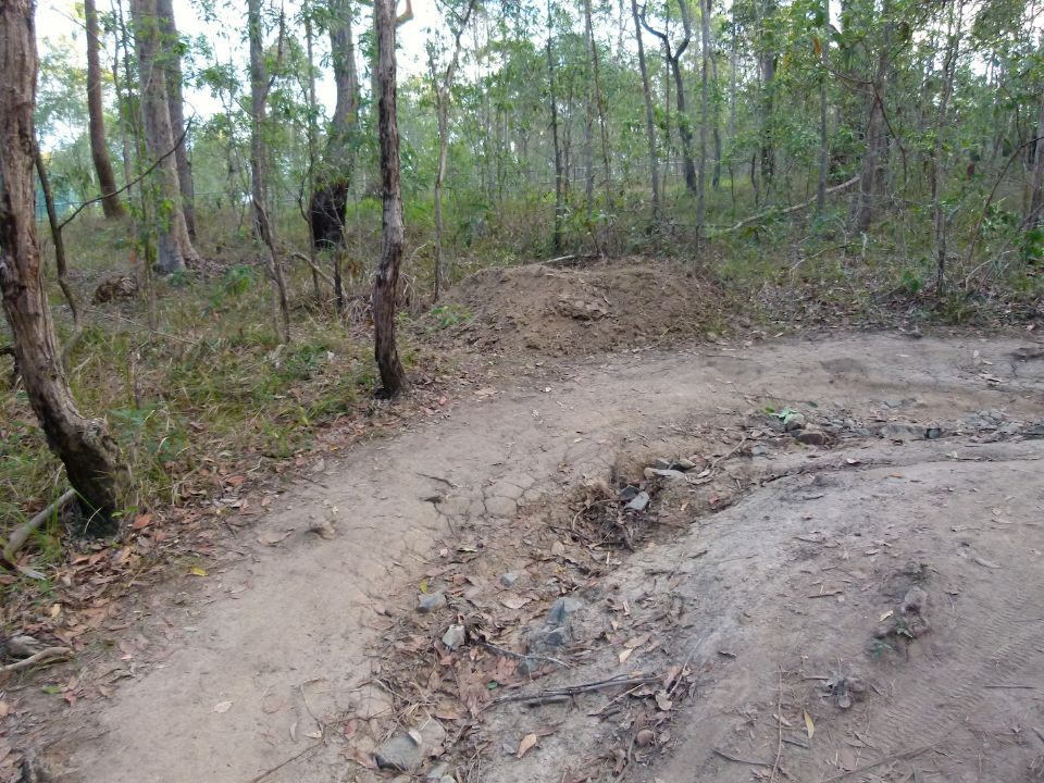 P1140231.jpg
