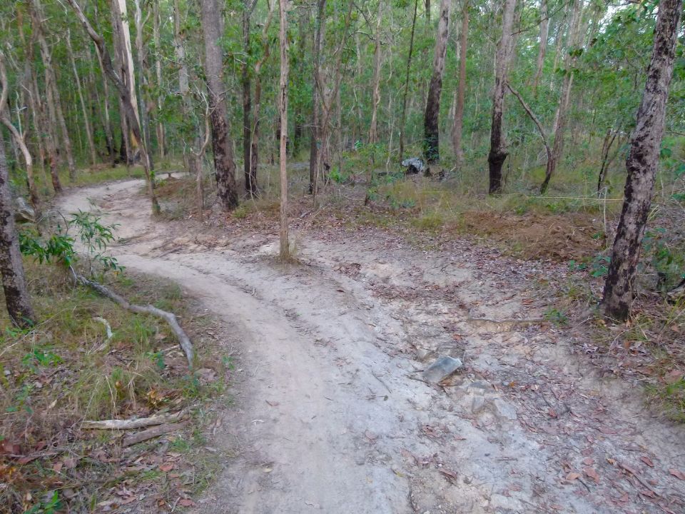 P1140234.jpg