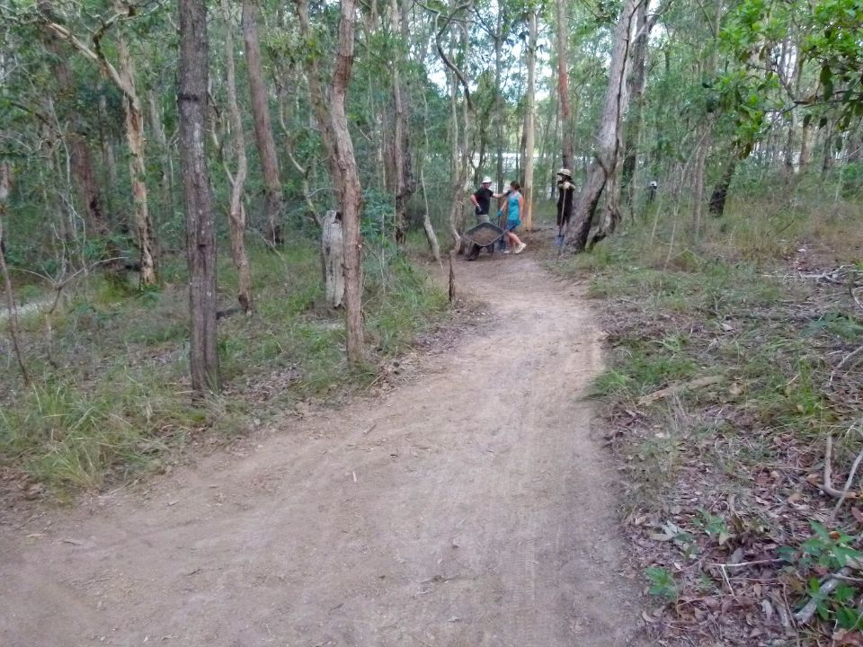 P1140237.jpg