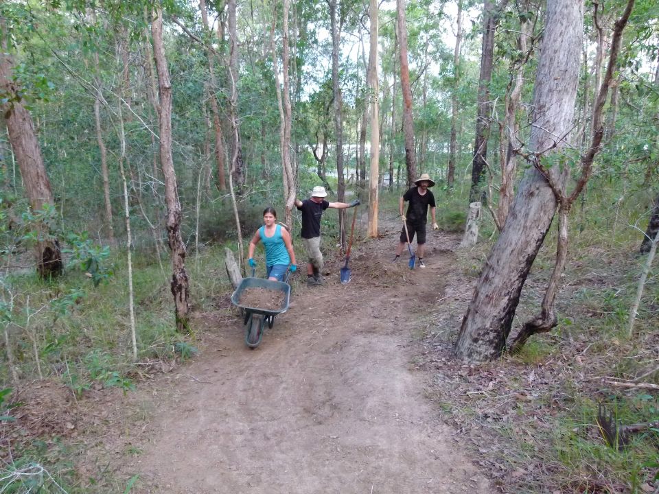 P1140238.jpg