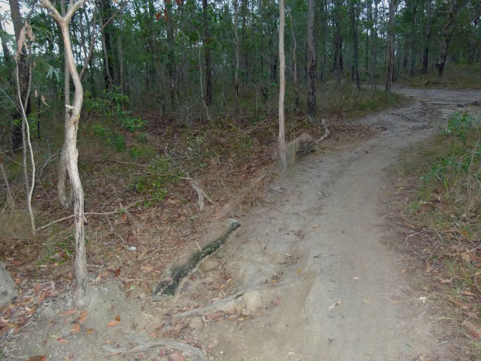 P1140257.jpg