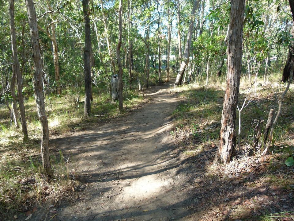 P1140287.jpg
