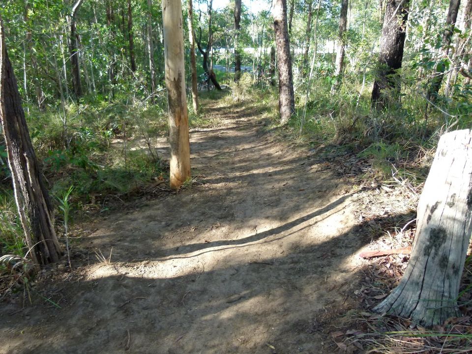 P1140289.jpg