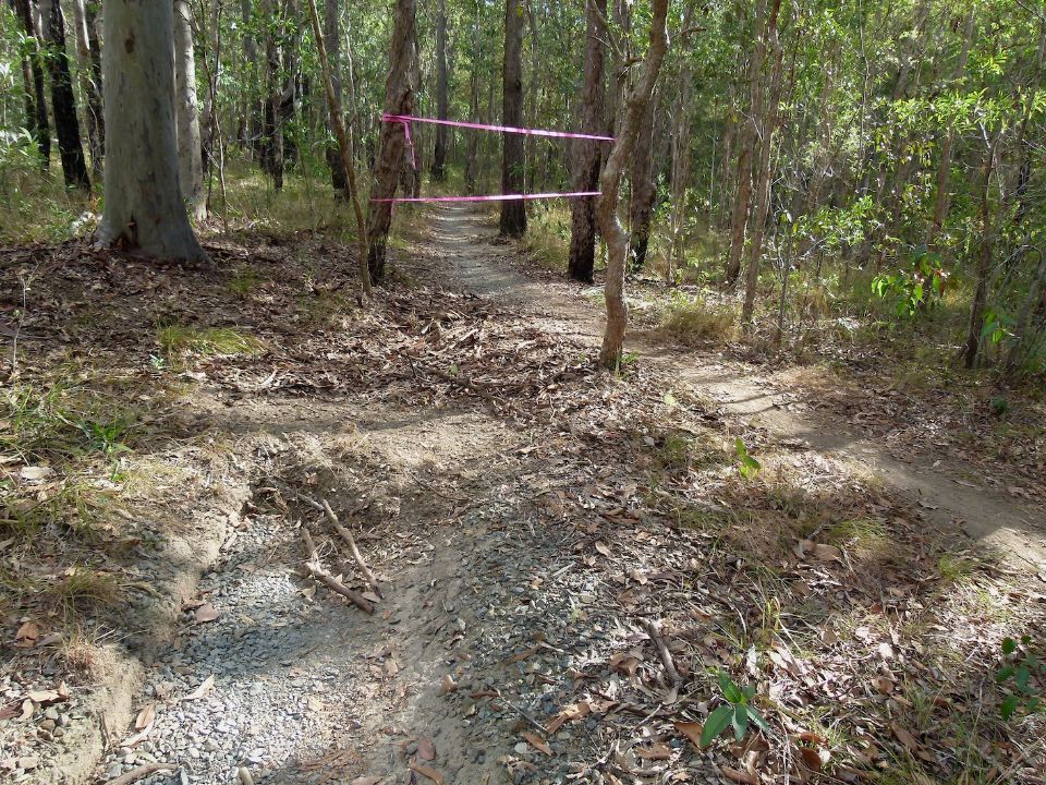 P1140350.jpg