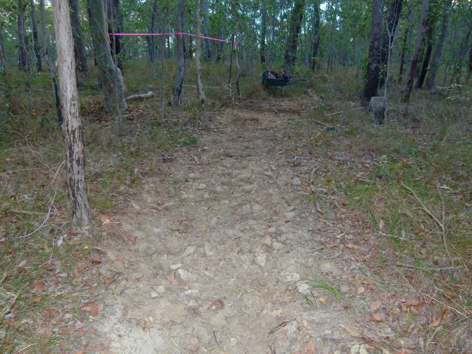 P1140356.jpg