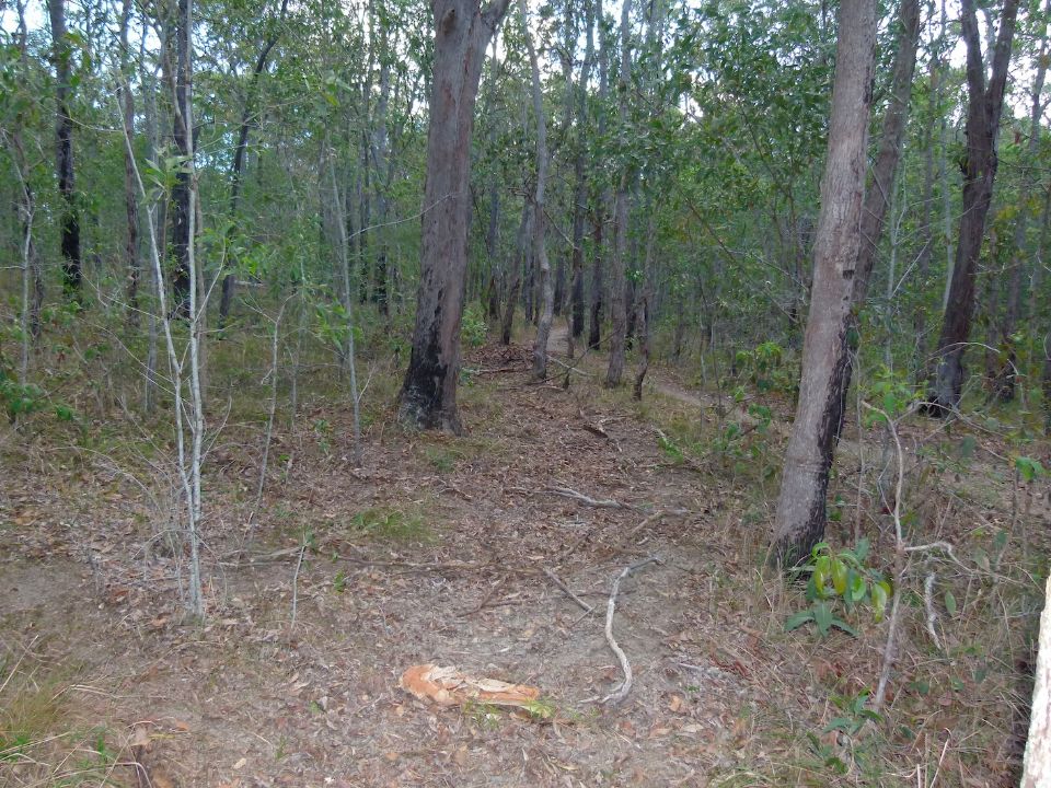P1140367.jpg