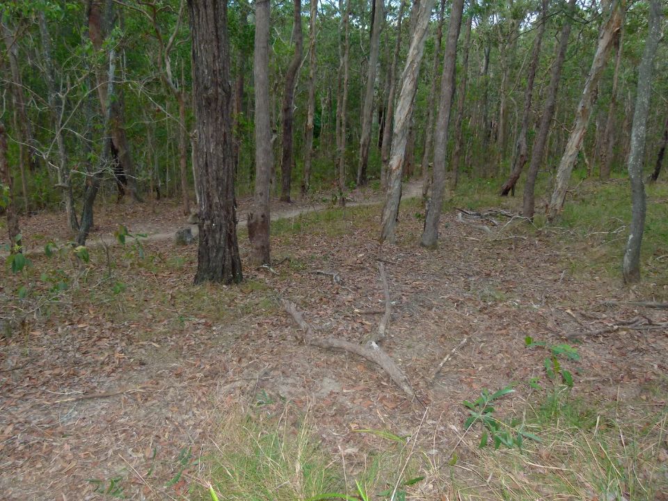P1140375.jpg