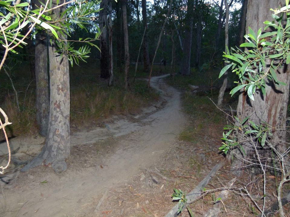 P1140401.jpg