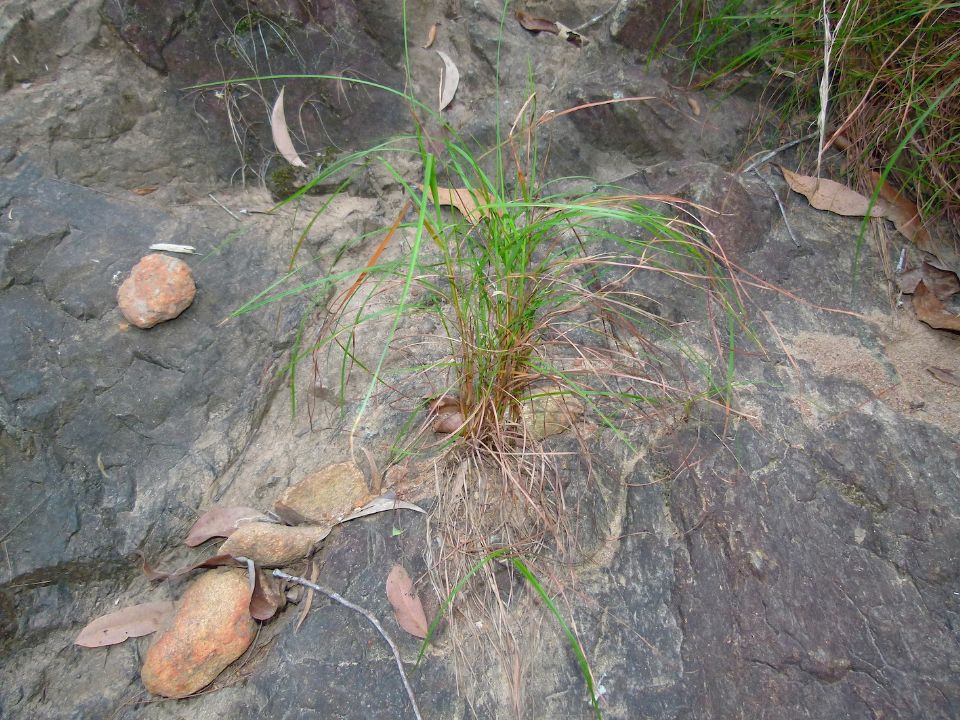 P1140417.jpg