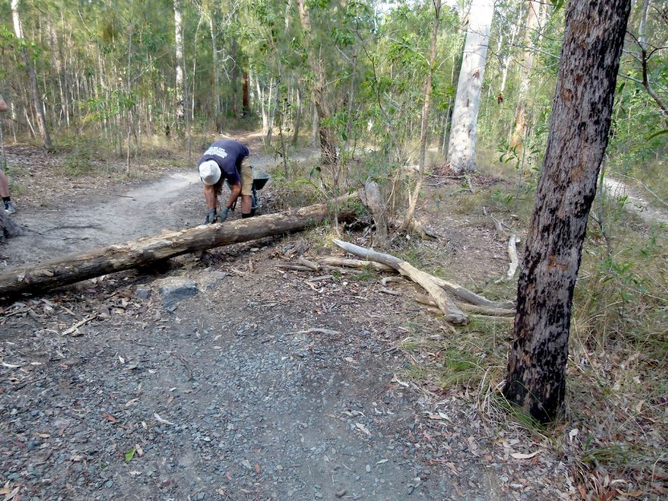 P1140432.jpg