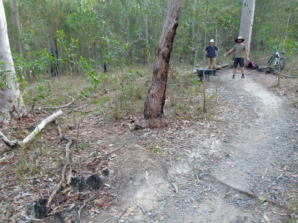 P1140433.jpg