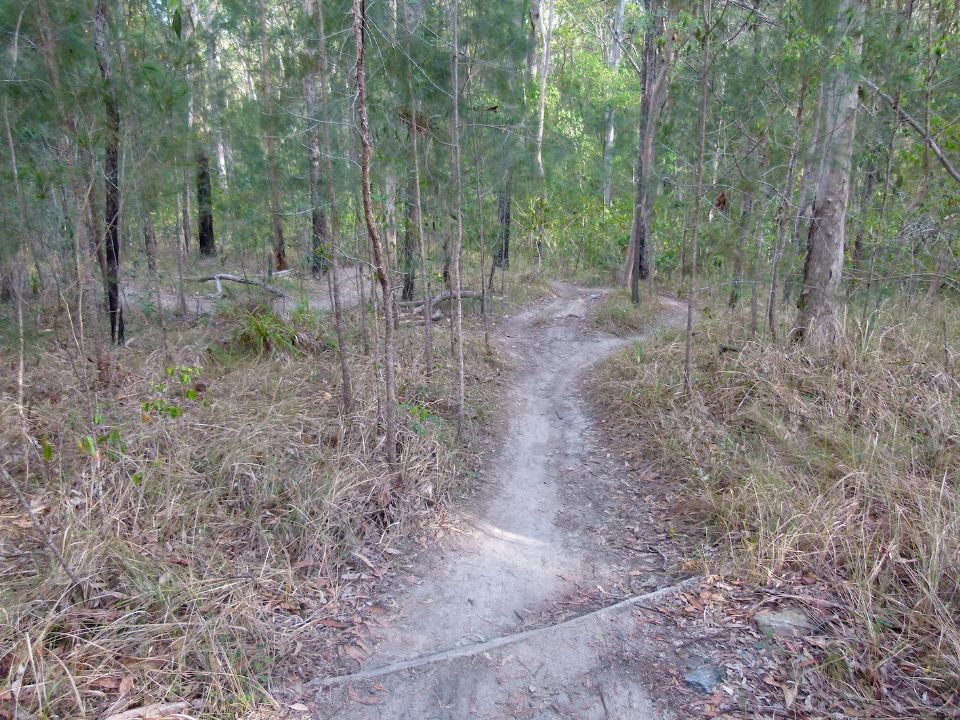 P1140435.jpg