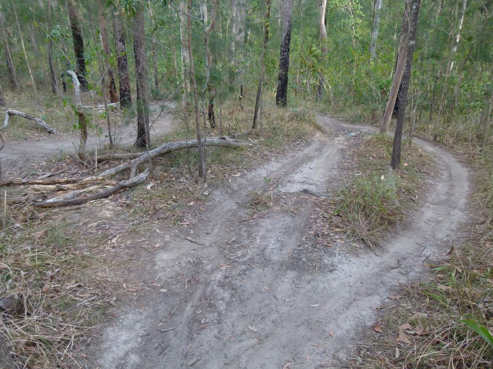 P1140436.jpg
