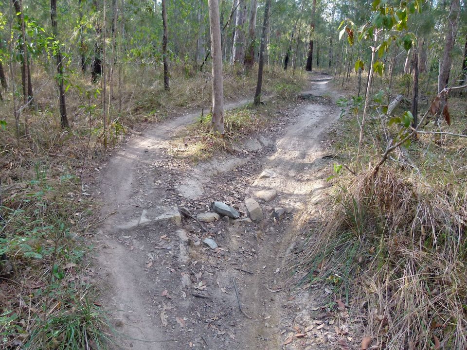 P1140437.jpg