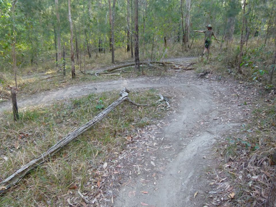 P1140442.jpg