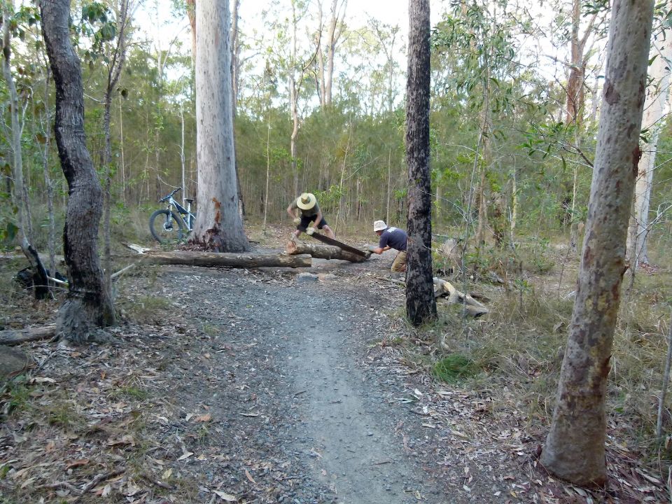 P1140447.jpg