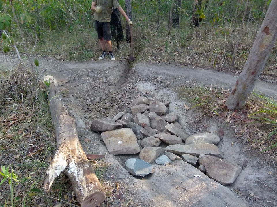 P1140456.jpg