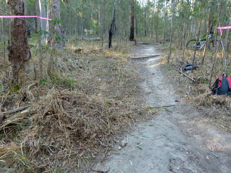 P1140457.jpg