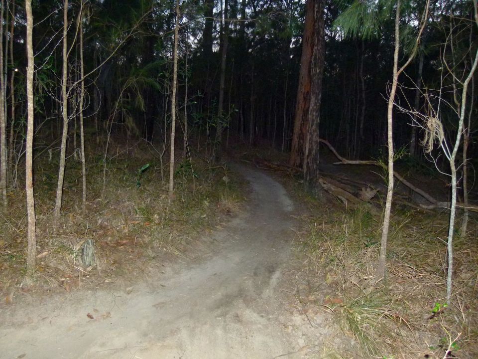P1140488.jpg
