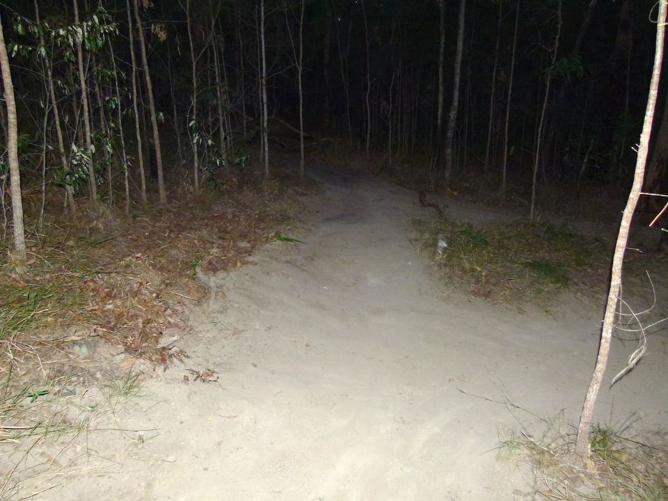 P1140491.jpg