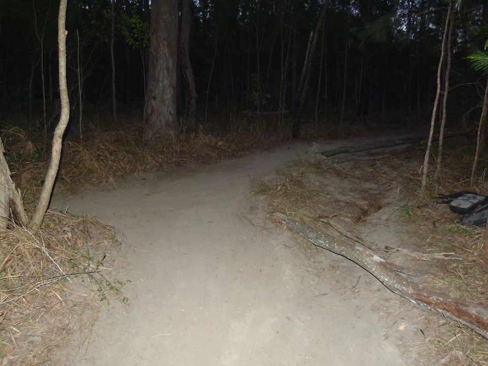 P1140492.jpg