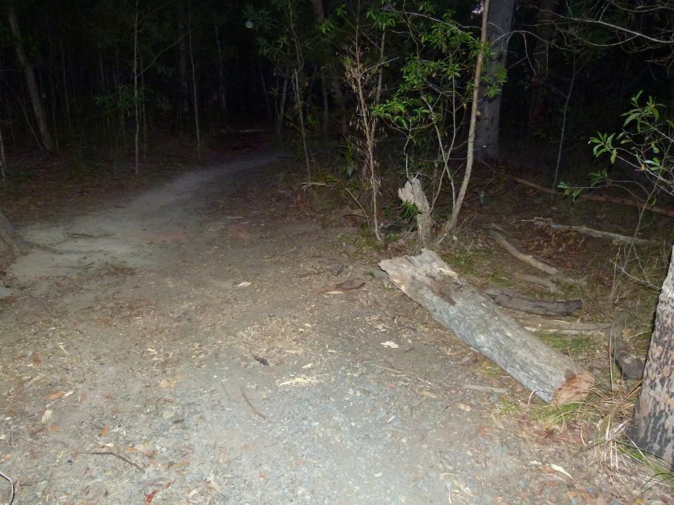 P1140495.jpg