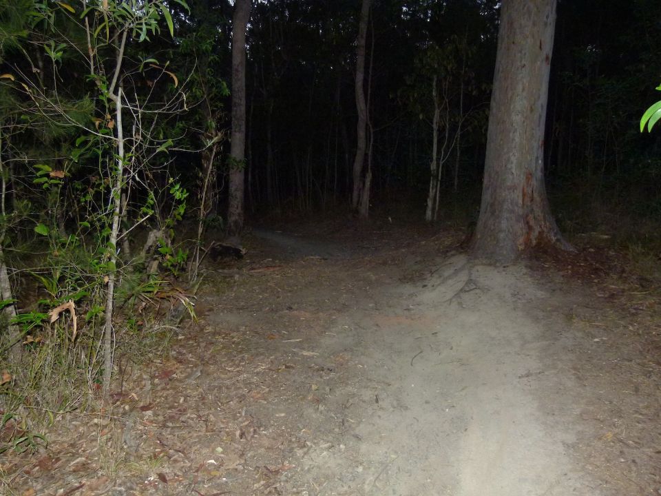 P1140496.jpg