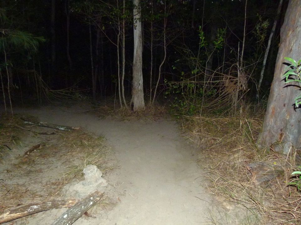 P1140501.jpg