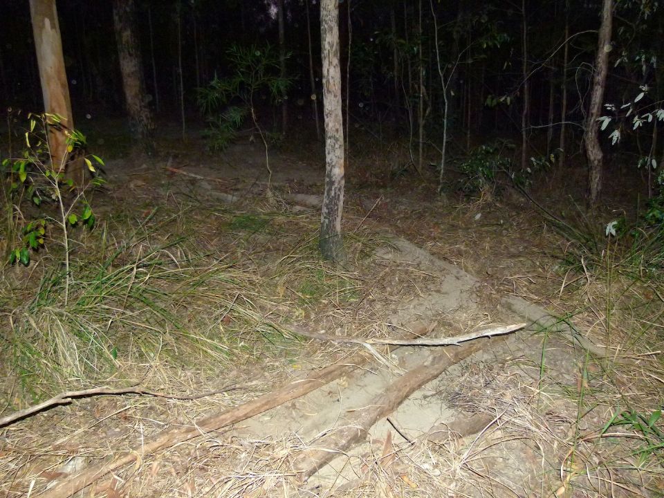 P1140506.jpg