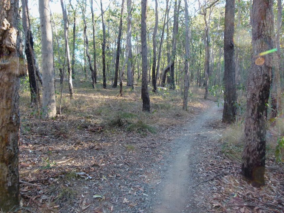 P1140520.jpg