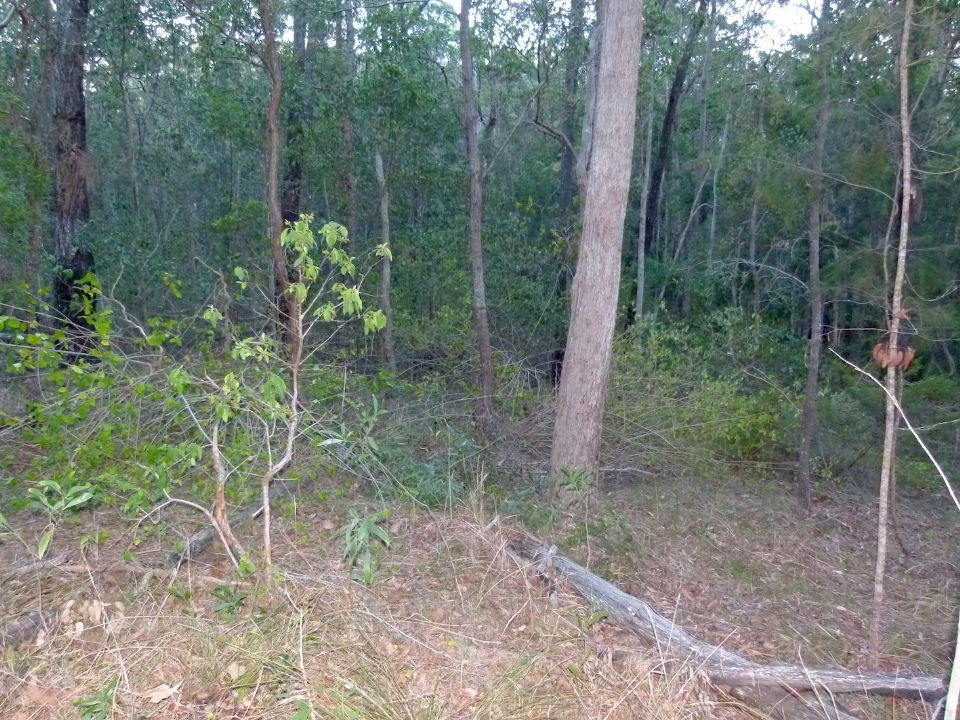 P1140531.jpg