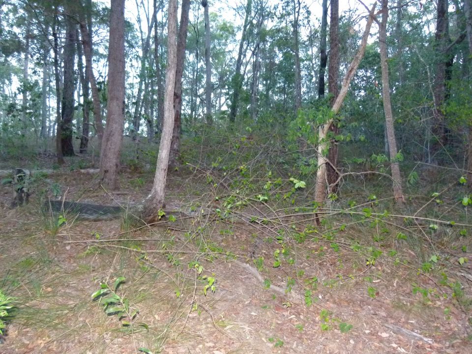 P1140534.jpg