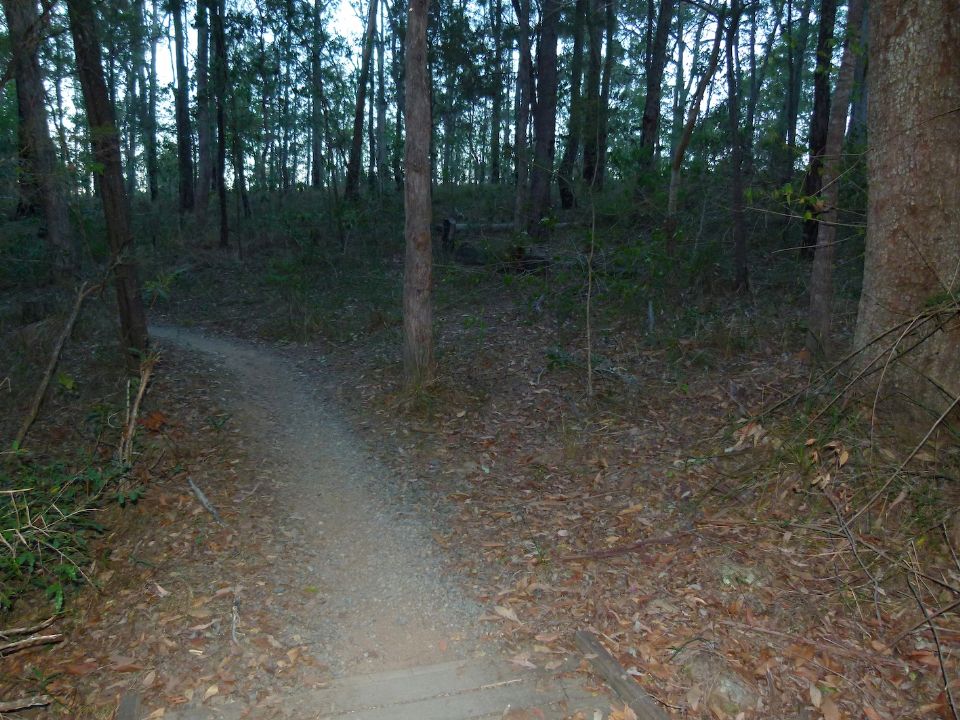 P1140537.jpg