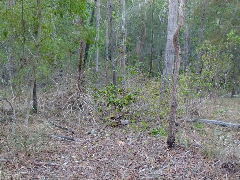P1140547.jpg