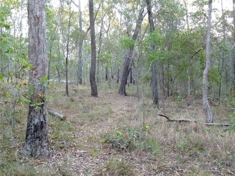 P1140550.jpg