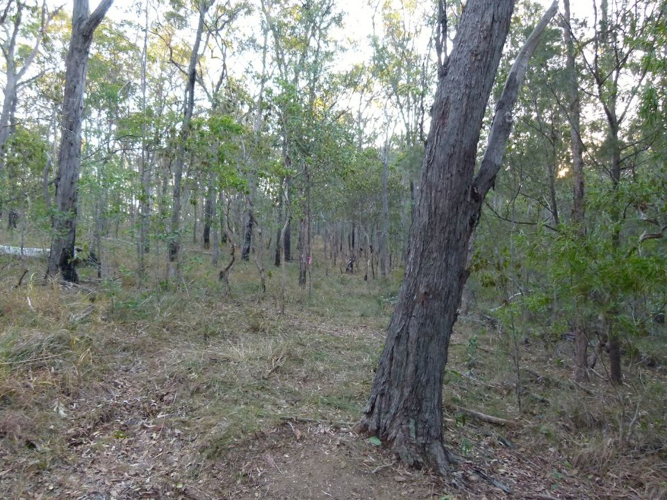 P1140551.jpg